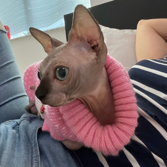 Meet your Posher, Gaby - Picture 10 of 10